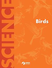 Cover image for Birds