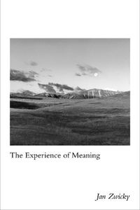 Cover image for The Experience of Meaning