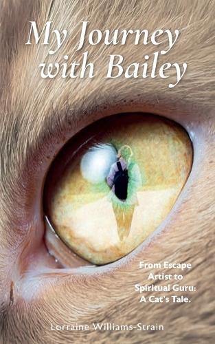 Cover image for My Journey with Bailey