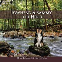 Cover image for Towhead and Sammy The Hero