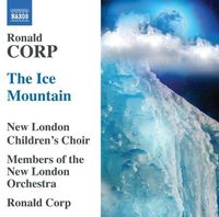 Cover image for Corp The Ice Mountain