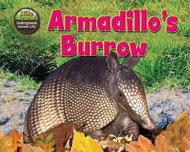 Cover image for Armadillo's Burrow