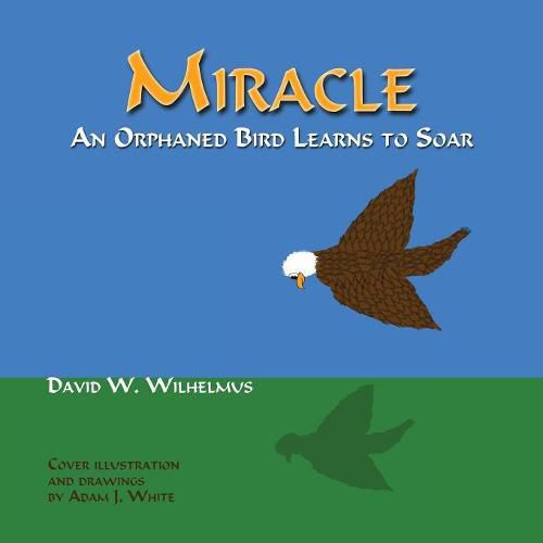 Cover image for Miracle: An Orphaned Bird Learns To Soar