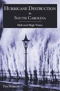 Cover image for Hurricane Destruction in South Carolina: Hell and High Water