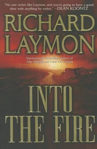 Cover image for Into the Fire