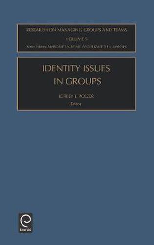 Cover image for Identity Issues in Groups