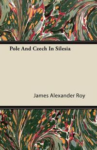 Cover image for Pole And Czech In Silesia