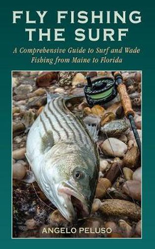 Cover image for Fly Fishing the Surf: A Comprehensive Guide to Surf and Wade Fishing from Maine to Florida