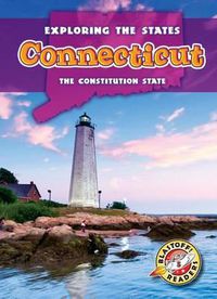 Cover image for Connecticut: The Constitution State