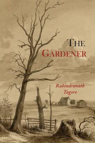 Cover image for The Gardener