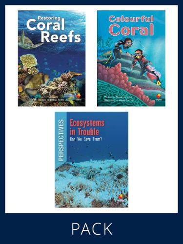 Flying Start Paired & Perspective Pack Level T, Pack 4: Includes Pair of Student Books (SB) 6 copies each, Perspectives Books 6 copie