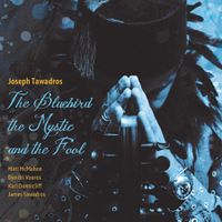 Cover image for The Bluebird, the Mystic and the Fool