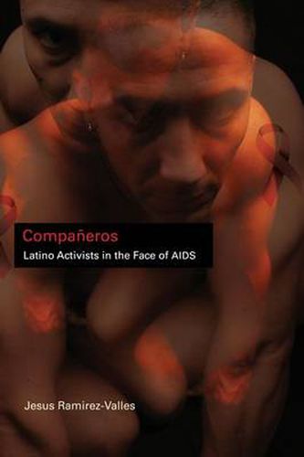 Cover image for Companeros: Latino Activists in the Face of AIDS