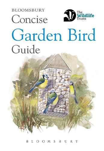 Cover image for Concise Garden Bird Guide