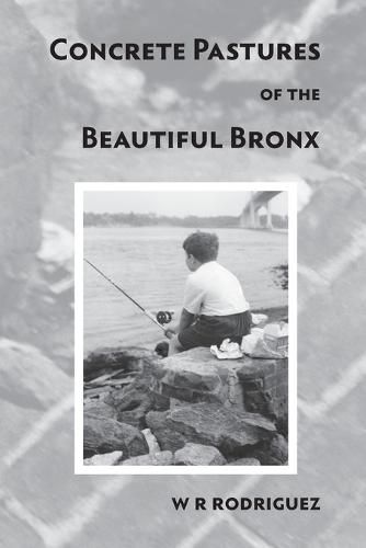 Cover image for concrete pastures of the beautiful bronx