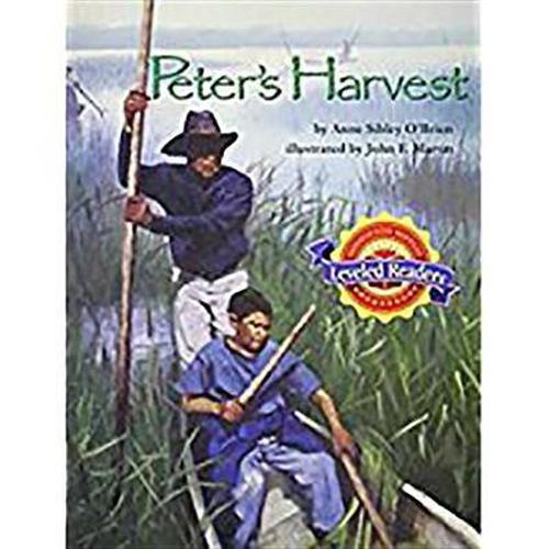 Peter's Harvest: Level 4.6.1 Bel LV