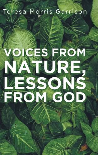 Cover image for Voices From Nature, Lessons From God