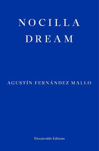 Cover image for Nocilla Dream