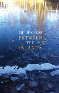 Cover image for Between the Islands