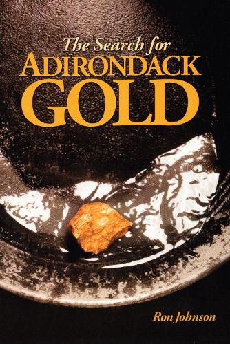 Cover image for The Search For Adirondack Gold