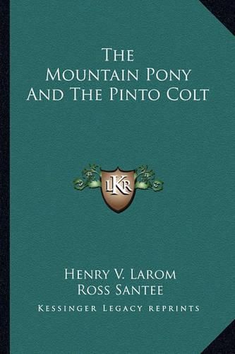 Cover image for The Mountain Pony and the Pinto Colt