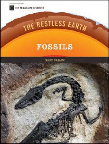 Cover image for Fossils