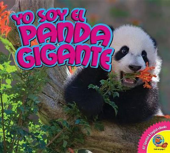 Cover image for Yo Soy el Panda Gigante, With Code