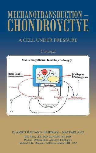 Mechanotransduction - Chondroyctye: A Cell Under Pressure