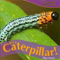 Cover image for It's a Caterpillar!