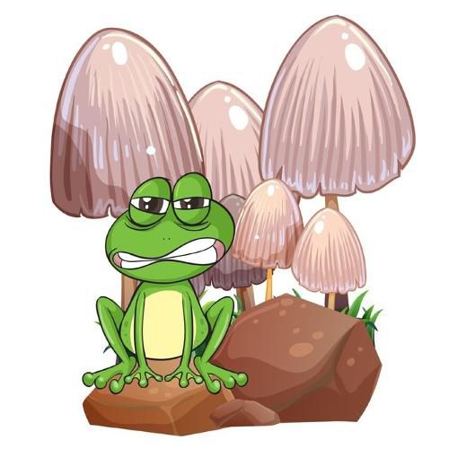Cover image for Frankie The Frog, Frankie never gives up