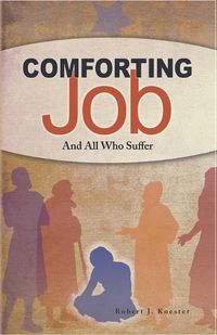 Cover image for Comforting Job