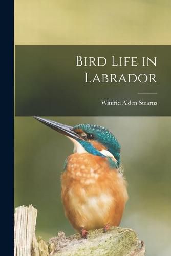 Cover image for Bird Life in Labrador [microform]