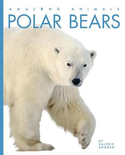 Cover image for Amazing Animals: Polar Bears