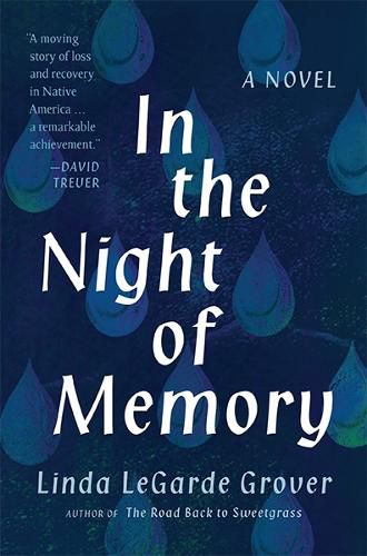 Cover image for In the Night of Memory: A Novel