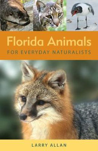 Cover image for Florida Animals for Everyday Naturalists