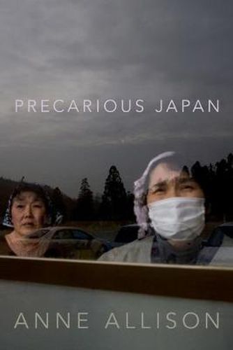 Cover image for Precarious Japan