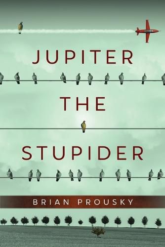 Cover image for Jupiter the Stupider