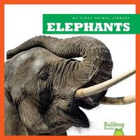 Cover image for Elephants