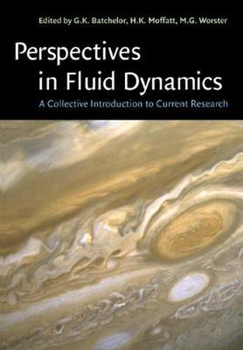 Cover image for Perspectives in Fluid Dynamics: A Collective Introduction to Current Research