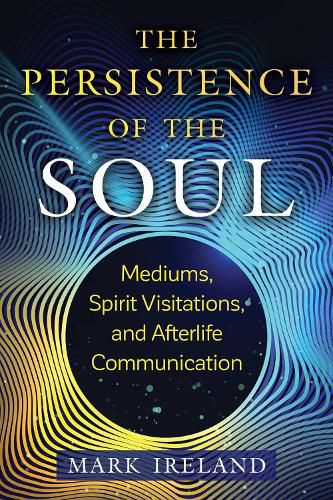 Cover image for The Persistence of the Soul