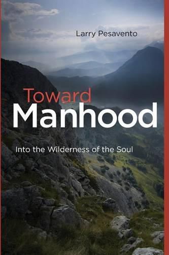 Cover image for Toward Manhood: Into the Wilderness of the Soul