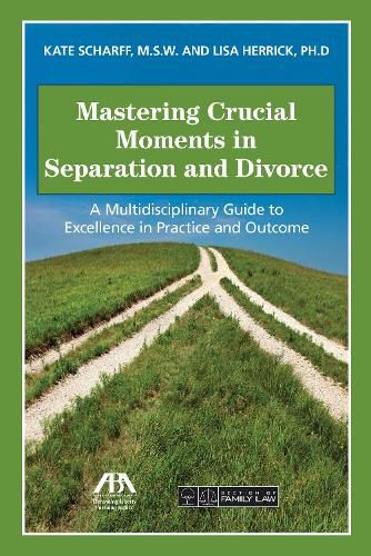 Cover image for Mastering Crucial Moments in Separation and Divorce