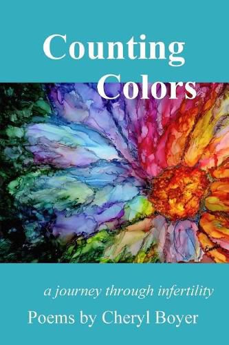 Cover image for Counting Colors