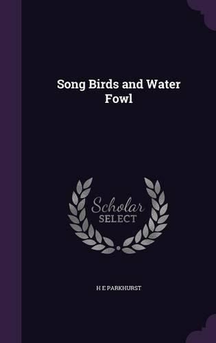 Cover image for Song Birds and Water Fowl