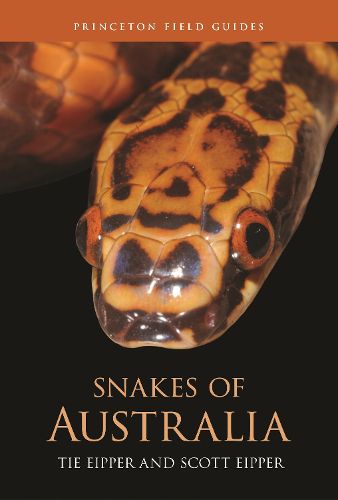 Cover image for Snakes of Australia