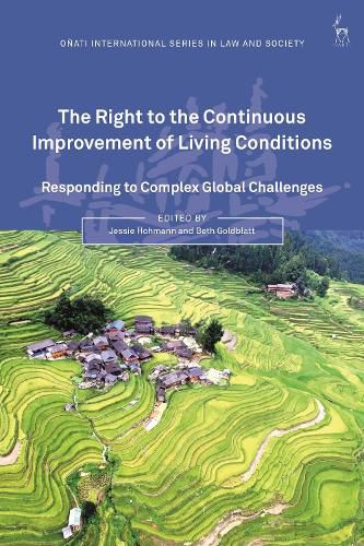 Cover image for The Right to the Continuous Improvement of Living Conditions: Responding to Complex Global Challenges