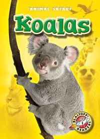 Cover image for Koalas