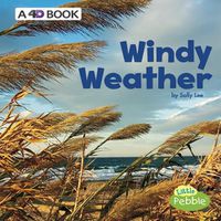 Cover image for Windy Weather: a 4D Book (All Kinds of Weather)