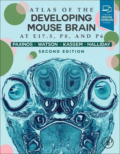 Atlas of the Developing Mouse Brain