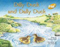 Cover image for Dilly Duck and Dally Duck